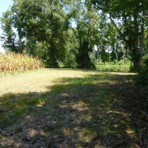 Photo of SOLD!  26.83 Acres of Farm Land With Pond For Sale In Edgecombe County NC!
