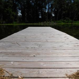Photo of SOLD!  26.83 Acres of Farm Land With Pond For Sale In Edgecombe County NC!