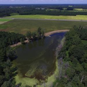 Photo of SOLD!  26.83 Acres of Farm Land With Pond For Sale In Edgecombe County NC!