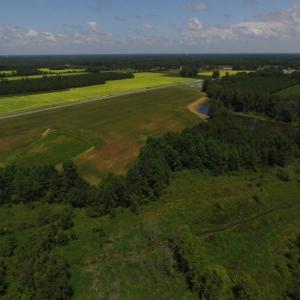 Photo of SOLD!  26.83 Acres of Farm Land With Pond For Sale In Edgecombe County NC!