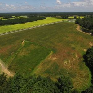 Photo of SOLD!  26.83 Acres of Farm Land With Pond For Sale In Edgecombe County NC!