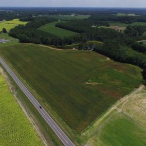 Photo of SOLD!  26.83 Acres of Farm Land With Pond For Sale In Edgecombe County NC!