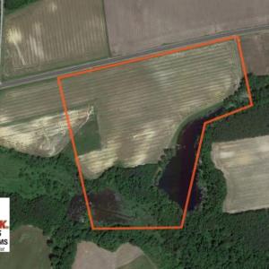 Photo of SOLD!  26.83 Acres of Farm Land With Pond For Sale In Edgecombe County NC!