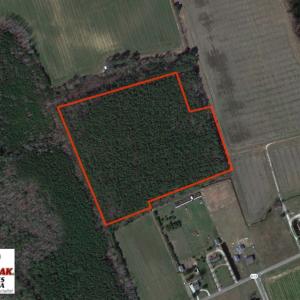 Photo of SOLD!  28 Acres of Hunting Land For Sale in Accomack County VA!