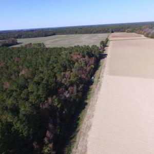 Photo of SOLD!  28 Acres of Hunting Land For Sale in Accomack County VA!