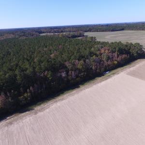 Photo of SOLD!  28 Acres of Hunting Land For Sale in Accomack County VA!