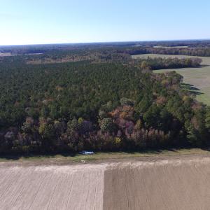 Photo of SOLD!  28 Acres of Hunting Land For Sale in Accomack County VA!