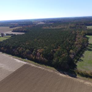 Photo of SOLD!  28 Acres of Hunting Land For Sale in Accomack County VA!