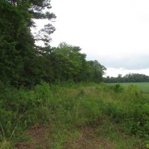 Photo of SOLD!  28 Acres of Hunting Land For Sale in Accomack County VA!