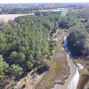 Photo of SOLD!  63 Acres of Waterfront Hunting Land For Sale in Accomack County VA!