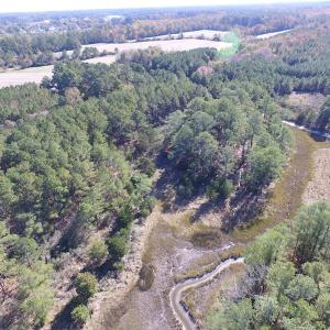 Photo of SOLD!  63 Acres of Waterfront Hunting Land For Sale in Accomack County VA!