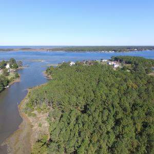Photo of SOLD!  63 Acres of Waterfront Hunting Land For Sale in Accomack County VA!