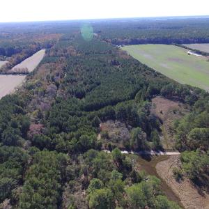 Photo of SOLD!  63 Acres of Waterfront Hunting Land For Sale in Accomack County VA!