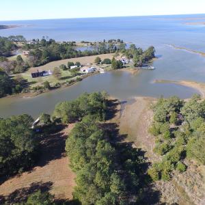 Photo of SOLD!  63 Acres of Waterfront Hunting Land For Sale in Accomack County VA!