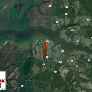 Photo of SOLD!  63 Acres of Waterfront Hunting Land For Sale in Accomack County VA!