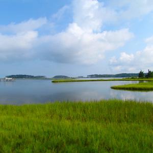 Photo of SOLD!  63 Acres of Waterfront Hunting Land For Sale in Accomack County VA!