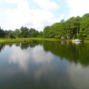 Photo of SOLD!  63 Acres of Waterfront Hunting Land For Sale in Accomack County VA!