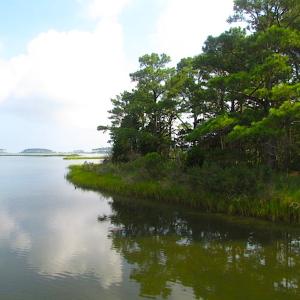 Photo of SOLD!  63 Acres of Waterfront Hunting Land For Sale in Accomack County VA!