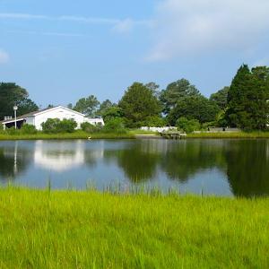 Photo of SOLD!  63 Acres of Waterfront Hunting Land For Sale in Accomack County VA!