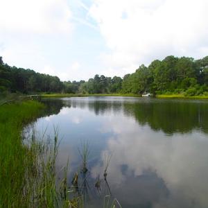 Photo of SOLD!  63 Acres of Waterfront Hunting Land For Sale in Accomack County VA!