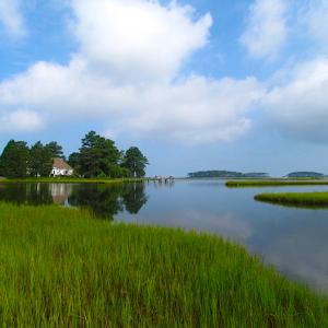 Photo of SOLD!  63 Acres of Waterfront Hunting Land For Sale in Accomack County VA!