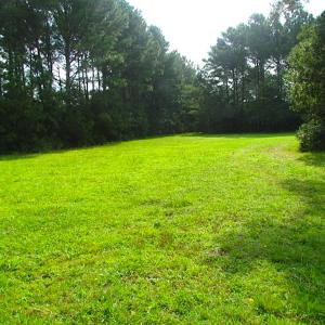 Photo of SOLD!  63 Acres of Waterfront Hunting Land For Sale in Accomack County VA!