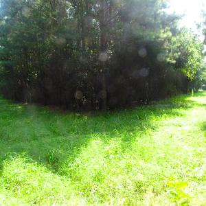 Photo of SOLD!  63 Acres of Waterfront Hunting Land For Sale in Accomack County VA!