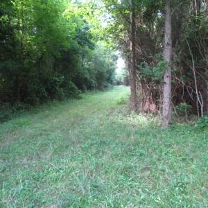 Photo of SOLD!  63 Acres of Waterfront Hunting Land For Sale in Accomack County VA!