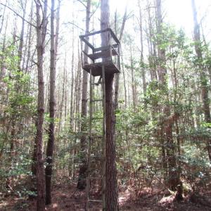Photo of SOLD!  63 Acres of Waterfront Hunting Land For Sale in Accomack County VA!