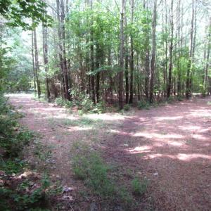 Photo of SOLD!  63 Acres of Waterfront Hunting Land For Sale in Accomack County VA!
