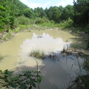 Photo of SOLD!  63 Acres of Waterfront Hunting Land For Sale in Accomack County VA!