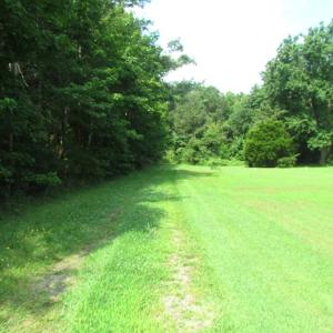 Photo of SOLD!  63 Acres of Waterfront Hunting Land For Sale in Accomack County VA!