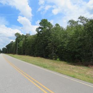 Photo of SOLD!  6 Acres of Timber Land For Sale in Bladen County NC!