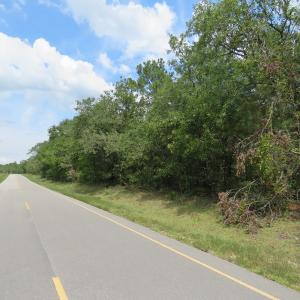 Photo of SOLD!  6 Acres of Timber Land For Sale in Bladen County NC!