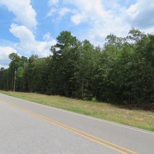 Photo of SOLD!  6 Acres of Timber Land For Sale in Bladen County NC!