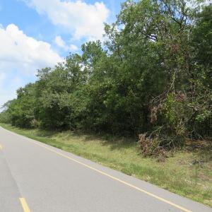 Photo of SOLD!  6 Acres of Timber Land For Sale in Bladen County NC!