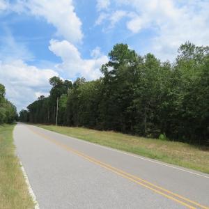 Photo of SOLD!  6 Acres of Timber Land For Sale in Bladen County NC!