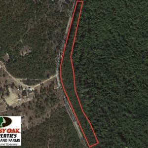 Photo of SOLD!  6 Acres of Timber Land For Sale in Bladen County NC!