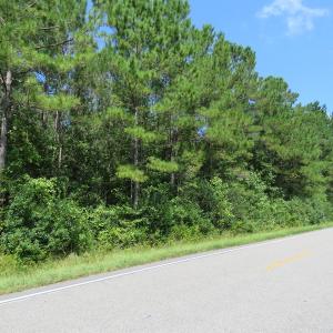 Photo of UNDER CONTRACT!  5.74 Acres of Residential and Hunting Land For Sale in Brunswick County NC!