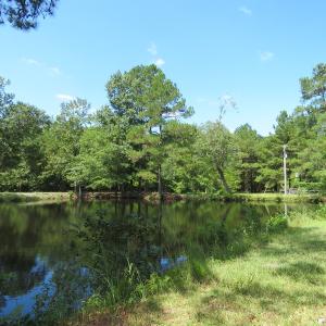 Photo of UNDER CONTRACT!  5.74 Acres of Residential and Hunting Land For Sale in Brunswick County NC!