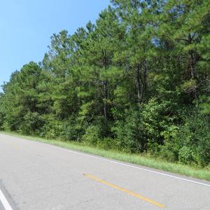 Photo of UNDER CONTRACT!  5.74 Acres of Residential and Hunting Land For Sale in Brunswick County NC!