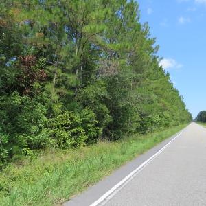 Photo of UNDER CONTRACT!  5.74 Acres of Residential and Hunting Land For Sale in Brunswick County NC!