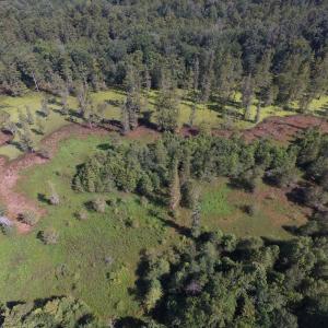 Photo of UNDER CONTRACT!  35 Acres of Recreational and Hunting Land For Sale in Lenoir NC!