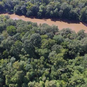 Photo of UNDER CONTRACT!  35 Acres of Recreational and Hunting Land For Sale in Lenoir NC!