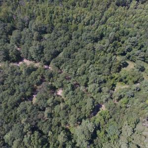 Photo of UNDER CONTRACT!  35 Acres of Recreational and Hunting Land For Sale in Lenoir NC!