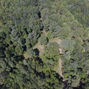 Photo of UNDER CONTRACT!  35 Acres of Recreational and Hunting Land For Sale in Lenoir NC!