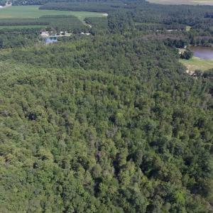 Photo of UNDER CONTRACT!  35 Acres of Recreational and Hunting Land For Sale in Lenoir NC!