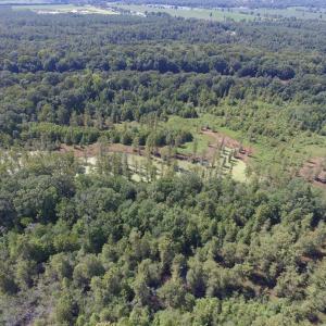 Photo of UNDER CONTRACT!  35 Acres of Recreational and Hunting Land For Sale in Lenoir NC!