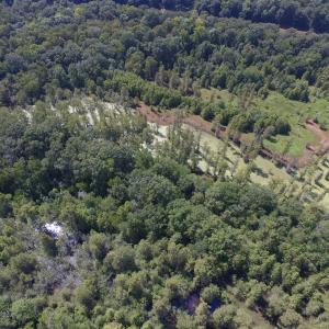 Photo of UNDER CONTRACT!  35 Acres of Recreational and Hunting Land For Sale in Lenoir NC!
