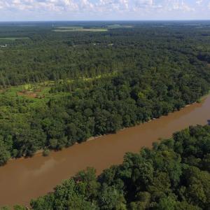 Photo of UNDER CONTRACT!  35 Acres of Recreational and Hunting Land For Sale in Lenoir NC!